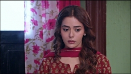 Kundali Bhagya - 24th February 2024